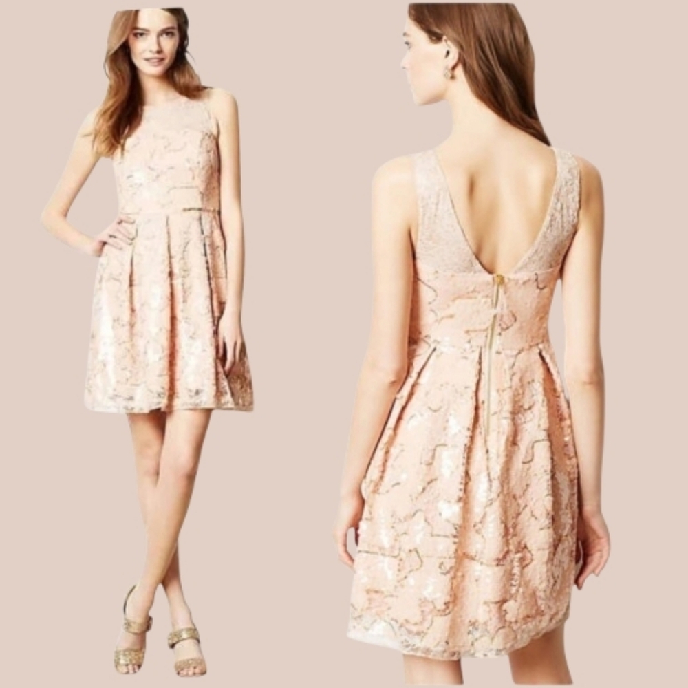 Anthropologie Eva Franco Elegant Sugarberry Sequin  Lace Cocktail Dress Sz 4 NWT